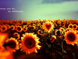 在线DDOS攻击平台